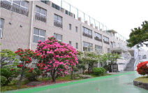 清泉小学校